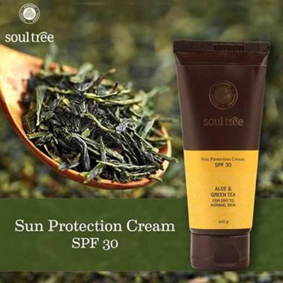 Picture of SoulTree Sun Protection Cream - 100 Gm
