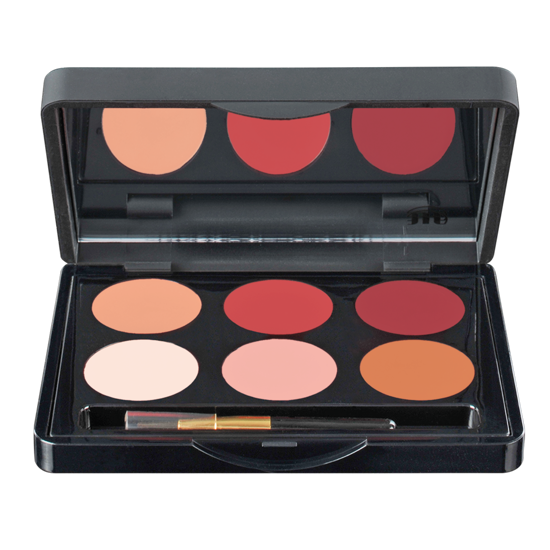 Picture of Make Up Studio Lip Shaping Palette ( Nude Meets Plum)