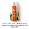 Picture of Brillare Science Root deep shampoo 200ml