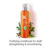 Picture of Brillare Science Root deep intenso 200ml