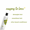 Picture of Plum Olive & Macadamia Rich Nourish Conditioner - 200ml