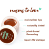 Picture of Plum Candy Melts Vegan Lip Balm - Mint-o-Coco 12g