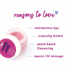 Picture of Plum Candy Melts Vegan Lip Balm - Berry Beast 12g
